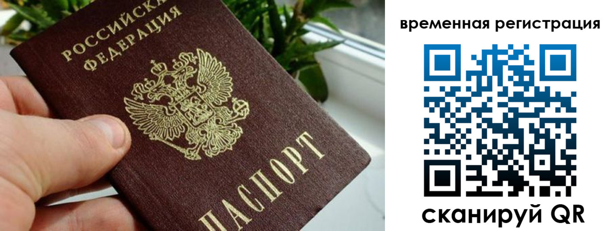 прописка поиск в Севастополе